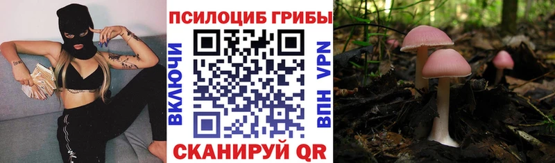 блэк спрут как зайти  Николаевск-на-Амуре  Псилоцибиновые грибы мухоморы 